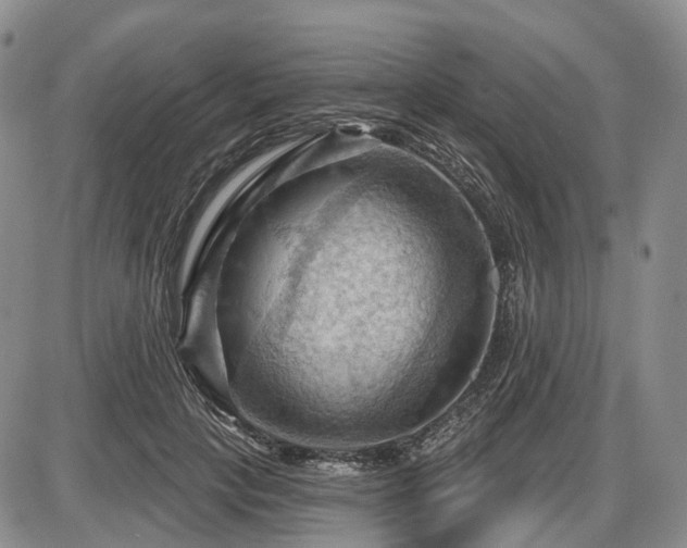 X0000087590649200704271308