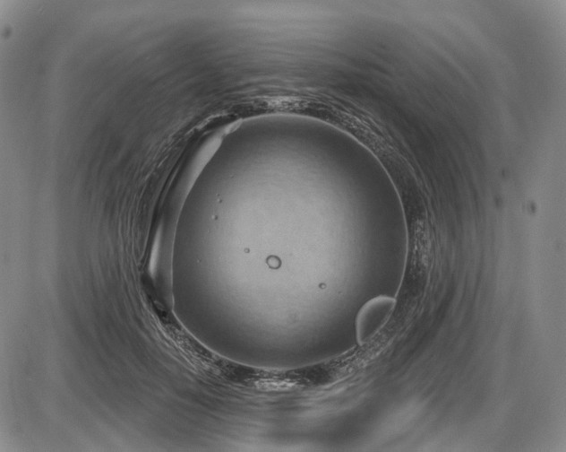 X0000087590650200704271308