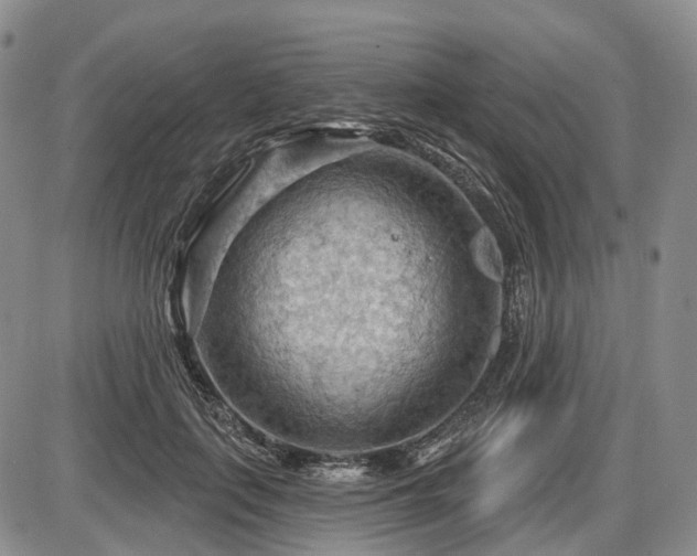 X0000087590651200704271308