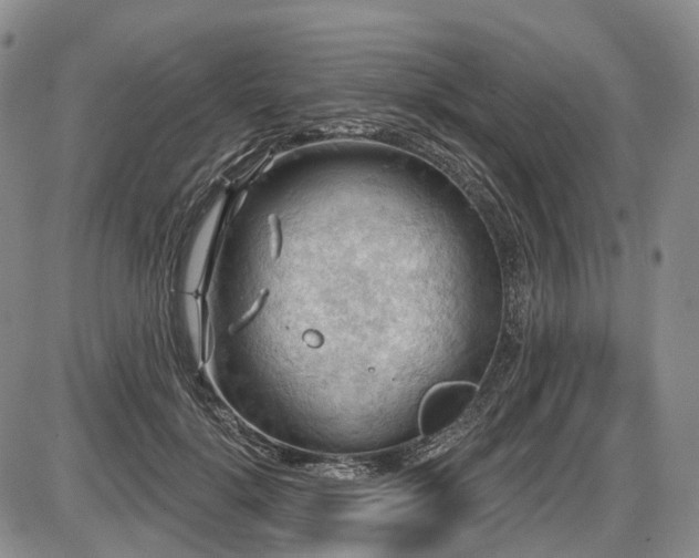 X0000087590652200704271308