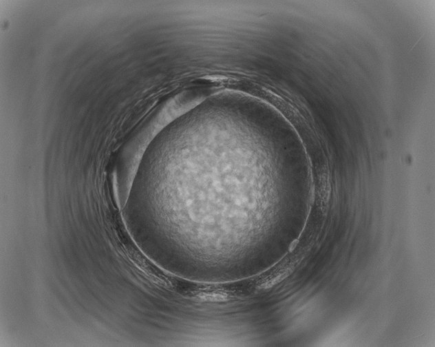 X0000087590653200704271308