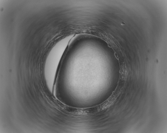 X0000087590656200704271308