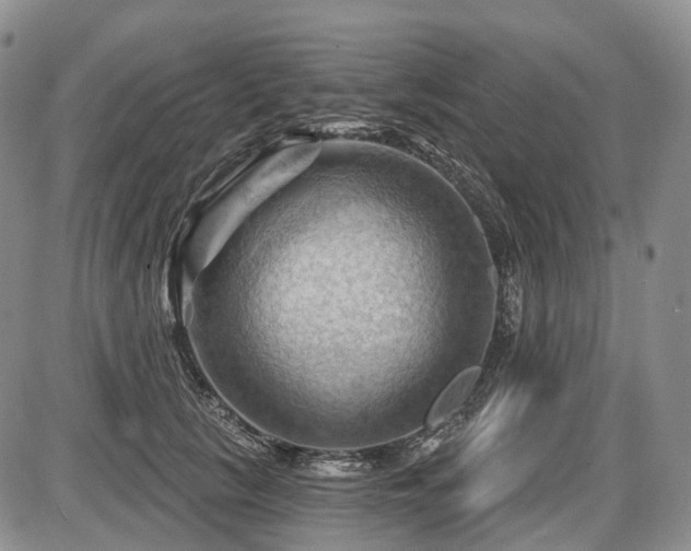 X0000087590657200704271308