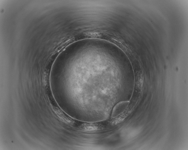 X0000087590658200704271308