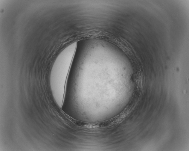 X0000087590660200704271308