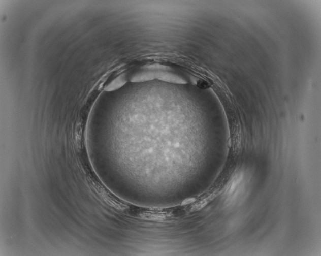 X0000087590661200704271308