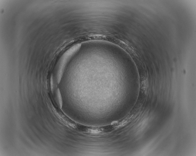 X0000087590662200704271308