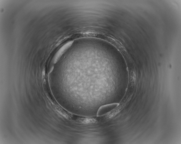 X0000087590663200704271308