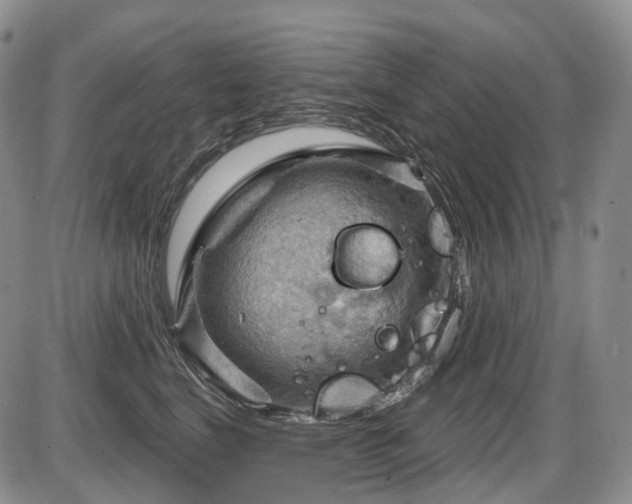 X0000087590664200704271308