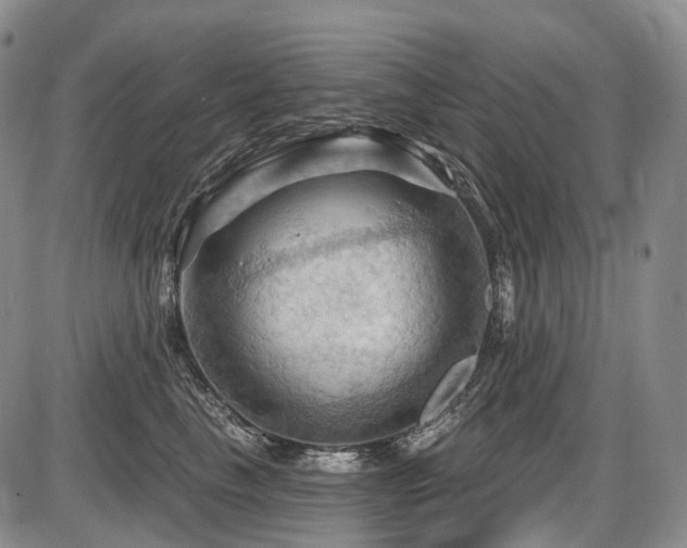 X0000087590665200704271308