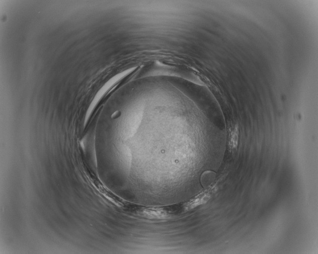 X0000087590666200704271309