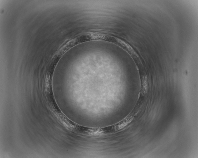 X0000087590667200704271309