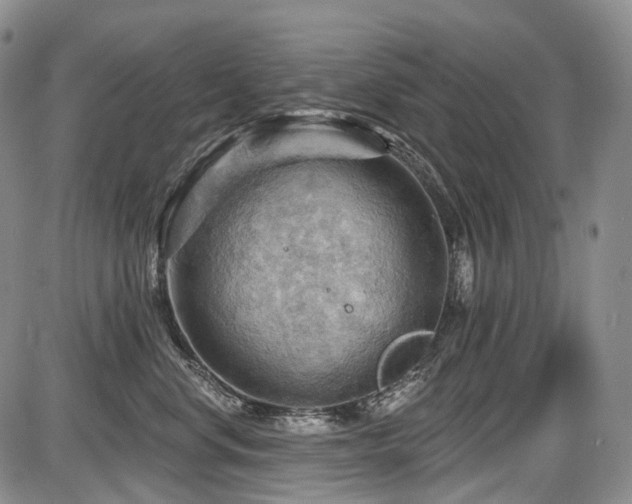 X0000087590668200704271309