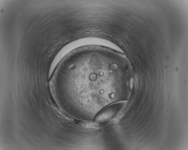 X0000087590670200704271309