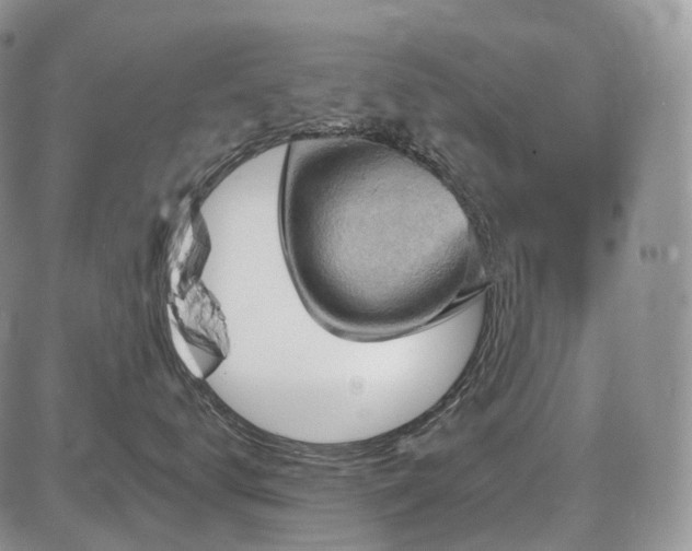 X0000087590672200704271309