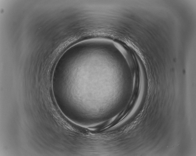 X0000087590673200704271308