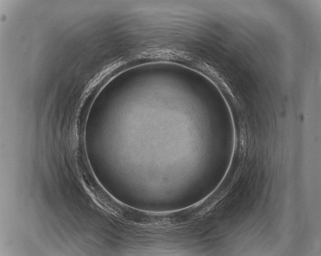 X0000087590674200704271308