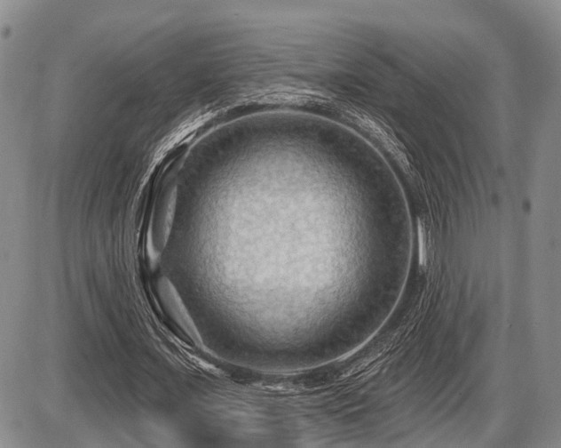 X0000087590675200704271308