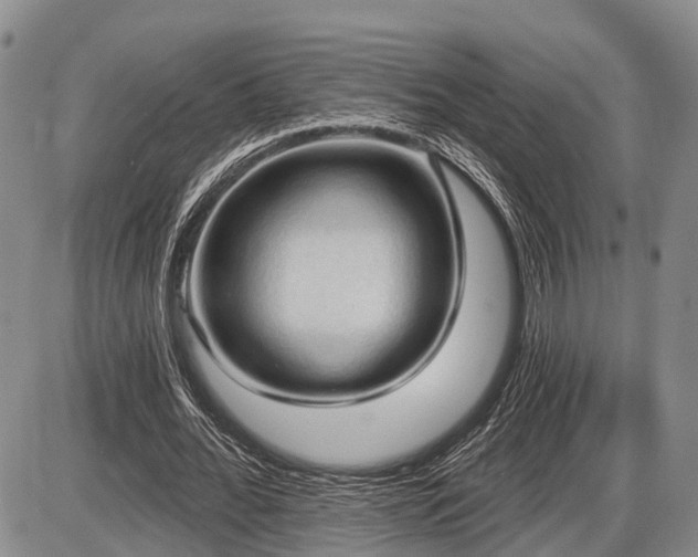 X0000087590676200704271308