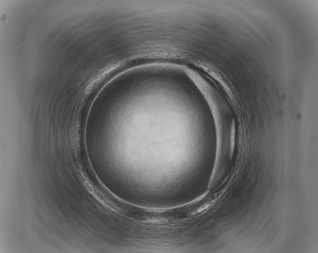 X0000087590677200704271308