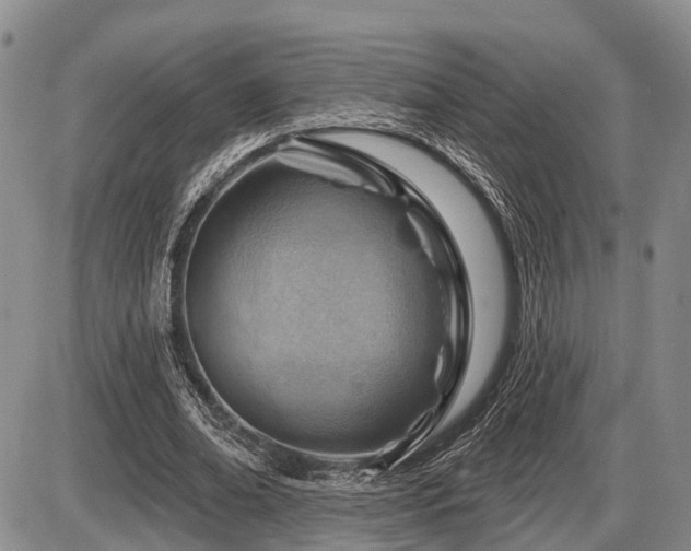 X0000087590678200704271308