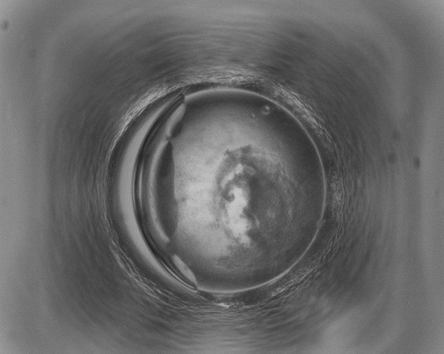 X0000087590679200704271308