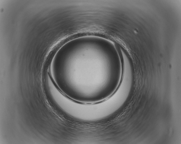 X0000087590680200704271308