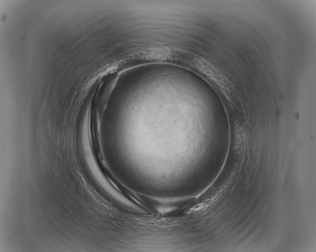 X0000087590681200704271308