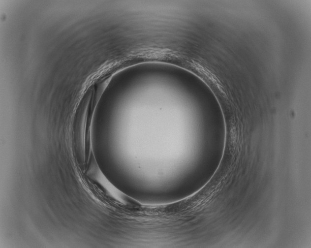 X0000087590682200704271308