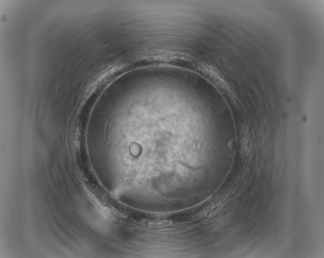 X0000087590683200704271308