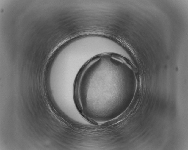 X0000087590684200704271308