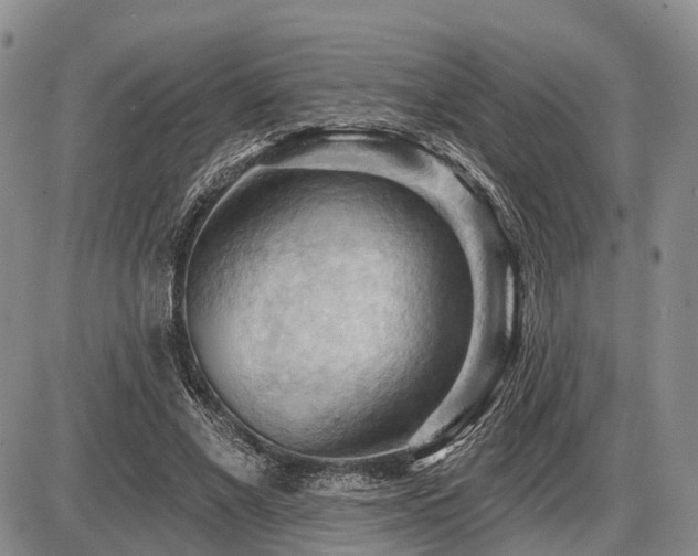 X0000087590685200704271308