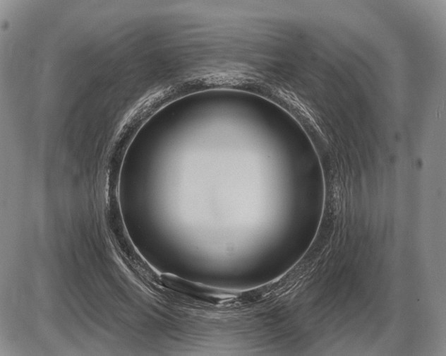 X0000087590686200704271308