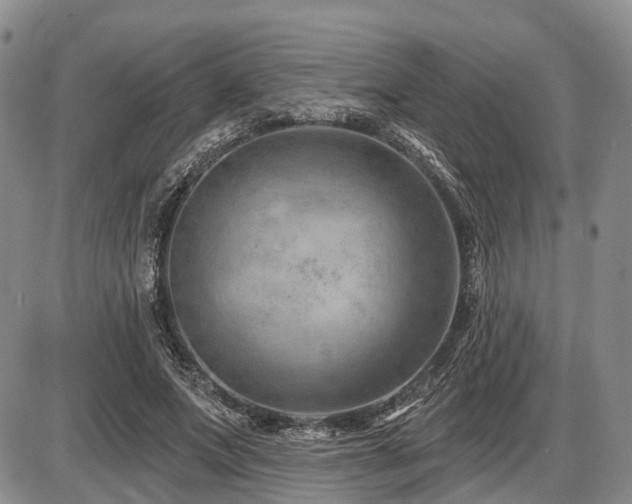 X0000087590687200704271308