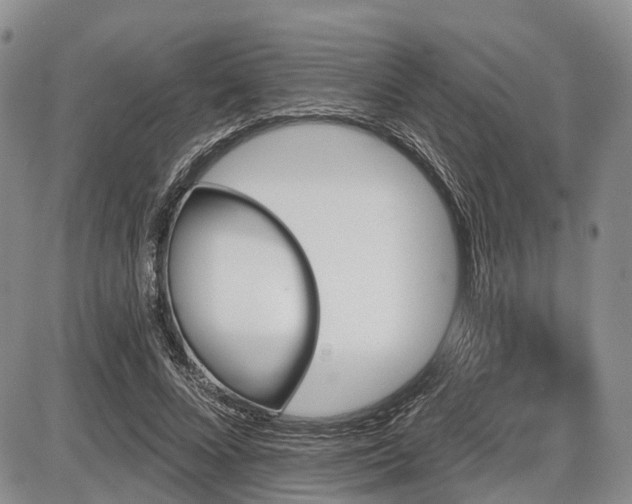 X0000087590688200704271308