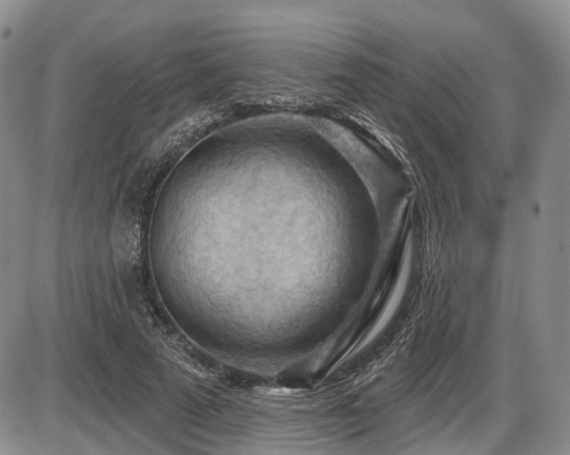 X0000087590689200704271308