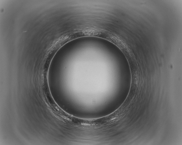 X0000087590690200704271308