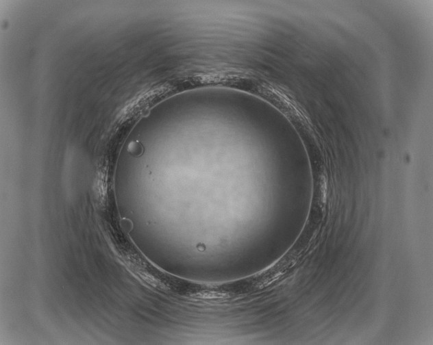 X0000087590691200704271308