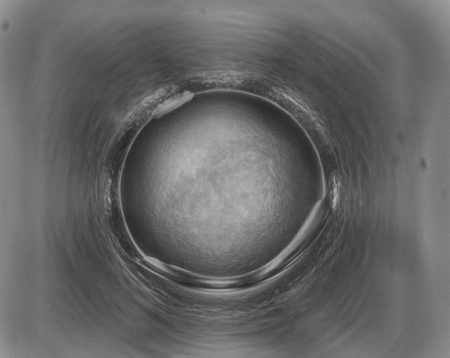 X0000087590692200704271308