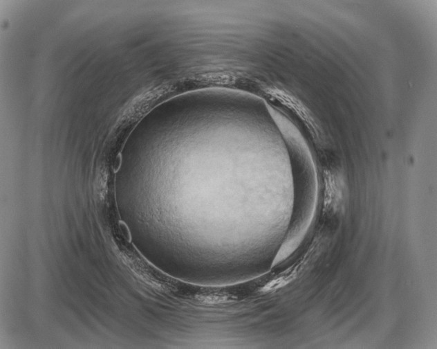 X0000087590693200704271308