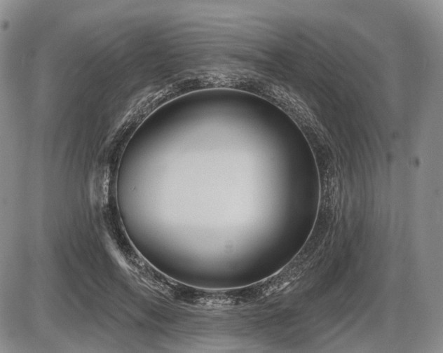 X0000087590694200704271307