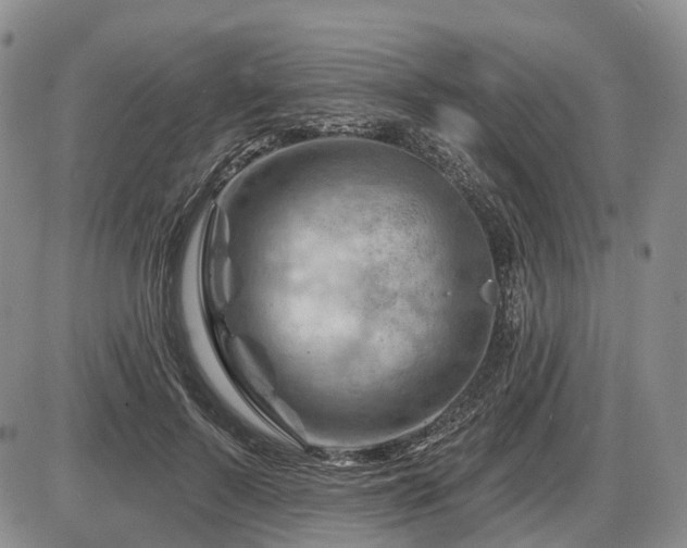 X0000087590695200704271307