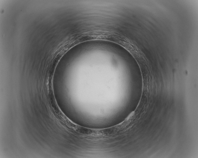 X0000087590696200704271307