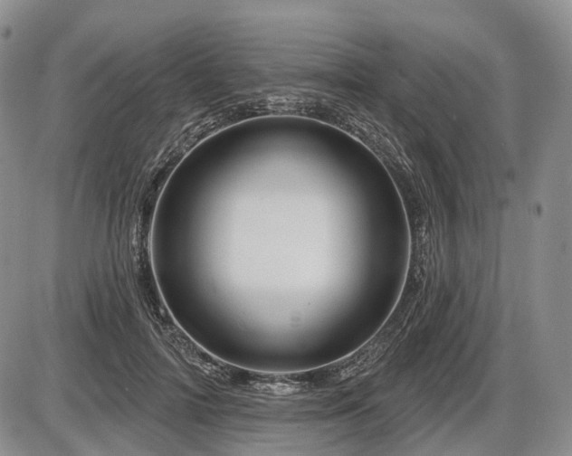 X0000087590698200704271307