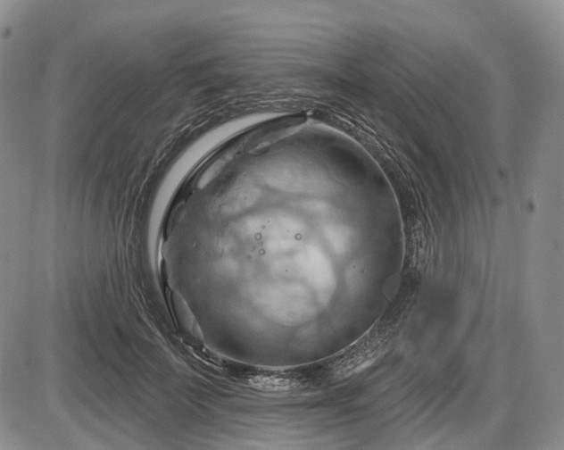 X0000087590699200704271307