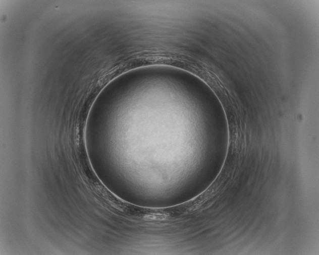 X0000087590700200704271307