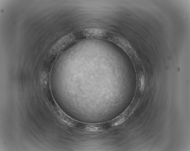 X0000087590701200704271307