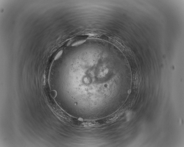 X0000087590703200704271307