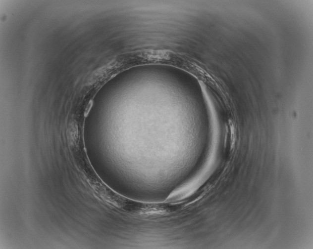 X0000087590704200704271307