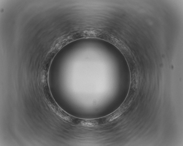 X0000087590706200704271307